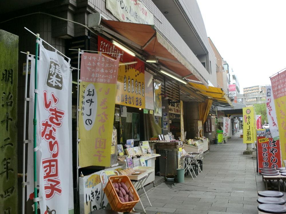 Suizenji Comfort Hotel Kumamoto Exterior photo